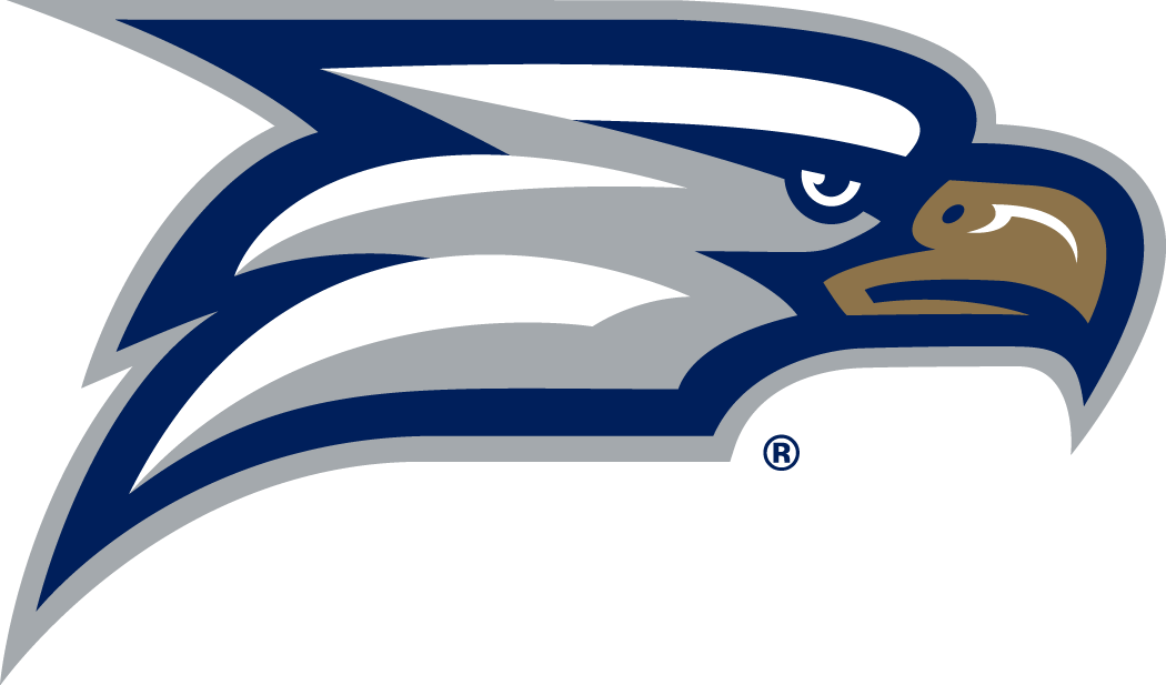 Georgia Southern Eagles 2010-Pres Secondary Logo iron on transfers for fabric